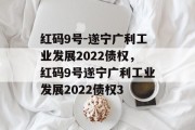 红码9号-遂宁广利工业发展2022债权，红码9号遂宁广利工业发展2022债权3