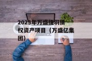 2023年万盛捷羽债权资产项目（万盛亿集团）