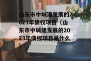 山东市中城建发展的2023年债权项目（山东市中城建发展的2023年债权项目是什么）