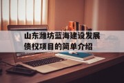 山东潍坊蓝海建设发展债权项目的简单介绍