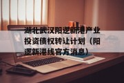 湖北武汉阳逻新港产业投资债权转让计划（阳逻新港线官方消息）