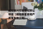 咸阳新兴控股债权转让项目（咸阳新星房地产开发有限公司）