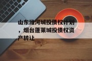 山东潍河城投债权计划，烟台蓬莱城投债权资产转让