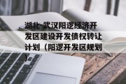 湖北-武汉阳逻经济开发区建设开发债权转让计划（阳逻开发区规划）