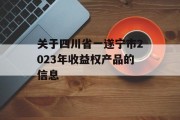 关于四川省一遂宁市2023年收益权产品的信息