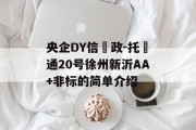 央企DY信‮政-托‬通20号徐州新沂AA+非标的简单介绍