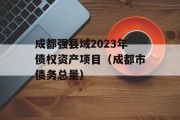 成都强县域2023年债权资产项目（成都市债务总量）