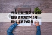 包含山东-青岛海洋科技投资发展2023年债权项目的词条