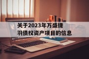 关于2023年万盛捷羽债权资产项目的信息