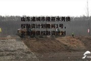 山东诸城市隆嘉水务债权融资计划隆兴1号，北金所债权融资计划