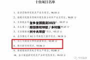 金乡金源国资2022政信债权项目，乡村振兴十大项目