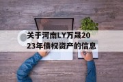 关于河南LY万晟2023年债权资产的信息