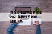 包含洛阳西苑国有资本2023年债权系列项目的词条