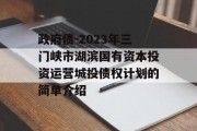 政府债-2023年三门峡市湖滨国有资本投资运营城投债权计划的简单介绍