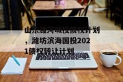 山东潍河城投债权计划，潍坊滨海国投2021债权转让计划