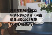 河南郏县城投2023年债权转让项目（河南郏县城投2023年债权转让项目招标）