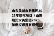 山东晟润水务集团2023年债权项目（山东晟润水务集团2023年债权项目有哪些）