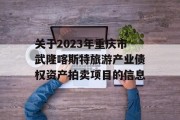 关于2023年重庆市武隆喀斯特旅游产业债权资产拍卖项目的信息