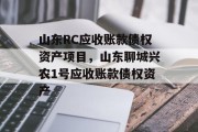 山东RC应收账款债权资产项目，山东聊城兴农1号应收账款债权资产