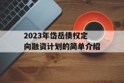 2023年岱岳债权定向融资计划的简单介绍