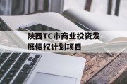 陕西TC市商业投资发展债权计划项目