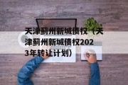 天津蓟州新城债权（天津蓟州新城债权2023年转让计划）