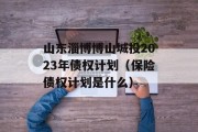 山东淄博博山城投2023年债权计划（保险债权计划是什么）