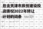 包含天津市辰悦建设投资债权2022年转让计划的词条