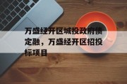 万盛经开区城投政府债定融，万盛经开区招投标项目