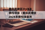 重庆武隆区2024年债权项目（重庆武隆区2024年债权项目开工）