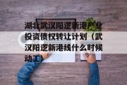 湖北武汉阳逻新港产业投资债权转让计划（武汉阳逻新港线什么时候动工）