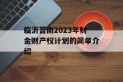 临沂莒南2023年财金财产权计划的简单介绍