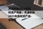 天津辰融2023年债权资产项目，天津辰融2023年债权资产项目招标