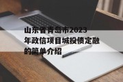 山东省青岛市2023年政信项目城投债定融的简单介绍