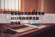 包含山东润康基建发展2023年政府债定融的词条