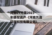 河南LY万晟2023年债权资产（河南万晟环保科技有限公司）