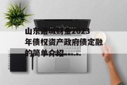 山东诸城财金2023年债权资产政府债定融的简单介绍