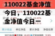 110022基金净值今日，110022基金净值今日一