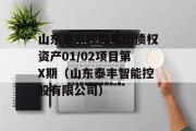 山东泰丰控股集团债权资产01/02项目第X期（山东泰丰智能控股有限公司）