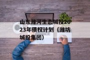 山东潍河生态城投2023年债权计划（潍坊城投集团）