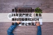 青岛海科控股债权2024年资产转让（青岛海科控股债权2024年资产转让情况）