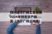 四川遂宁广利工业发展2024年特定资产拍卖（遂宁广利公司债）