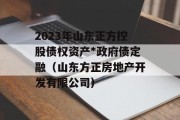 2023年山东正方控股债权资产*政府债定融（山东方正房地产开发有限公司）