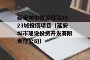 延安城市建设投资2023城投债项目（延安城市建设投资开发有限责任公司）