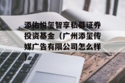 添佑悦玺智享私募证券投资基金（广州添玺传媒广告有限公司怎么样）