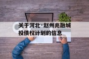 关于河北·赵州兆融城投债权计划的信息