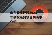 山东泰丰控股2023年债权系列项目的简单介绍