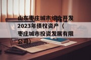 山东枣庄城市综合开发2023年债权资产（枣庄城市投资发展有限公司）