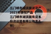 三门峡市湖滨国资资产2023年债权产品（三门峡市湖滨国有资本投资运营有限公司怎么样）