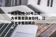 央企信托-38号江苏大丰集合资金信托，江苏大丰集团简介